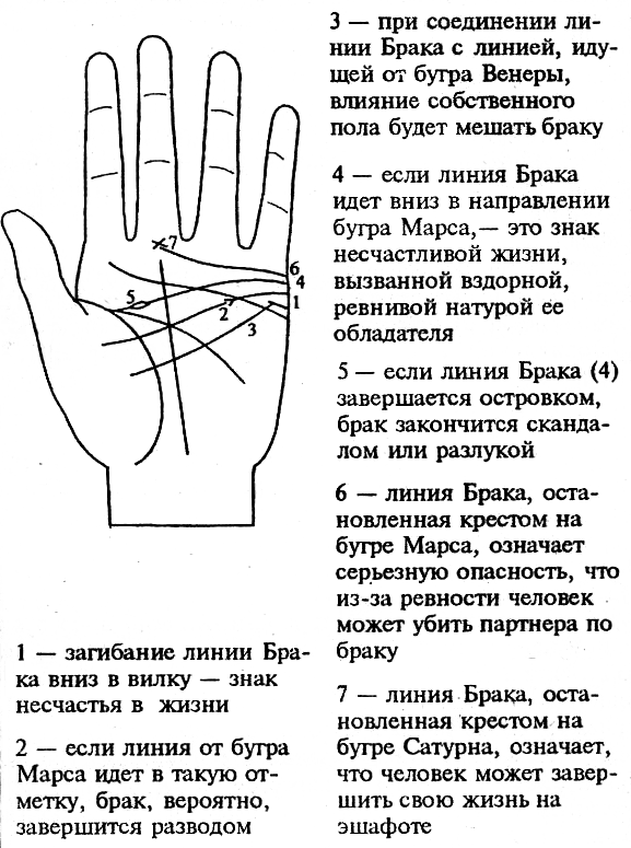 Линии Рук Хиромантия Фото