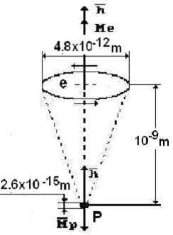 http://www.xsp.ru/antol/Nikita/antolNikaElectron.jpg